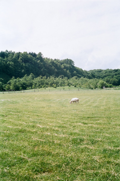 f0182924_21464318.jpg