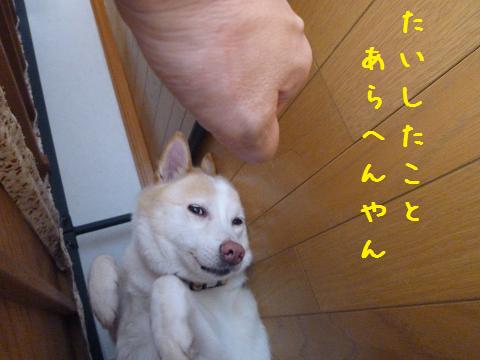 b0138430_15175159.jpg