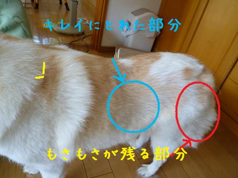 b0138430_1563822.jpg