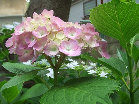 b0198033_23353231.jpg