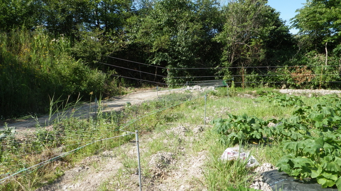 b0214542_12515461.jpg