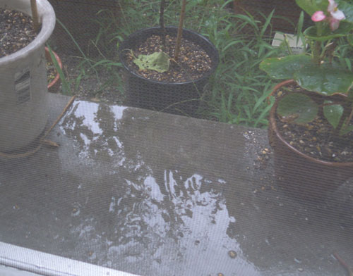 e0034047_17125517.jpg