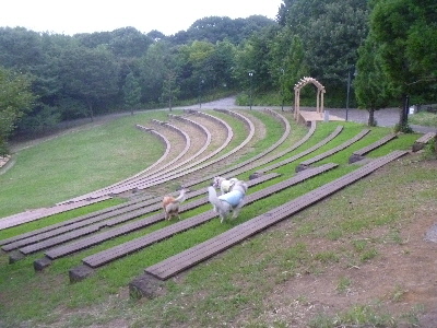 e0121548_19382289.jpg
