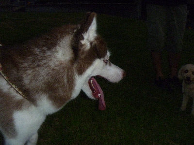 e0121548_20123941.jpg