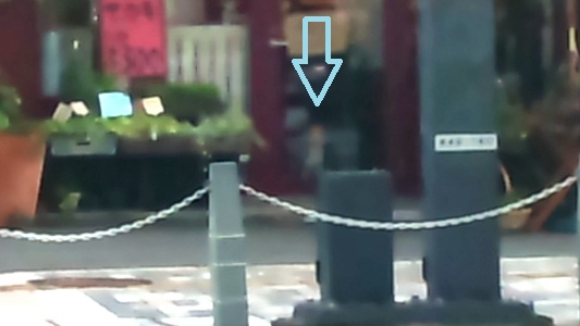 a0166550_1503774.jpg