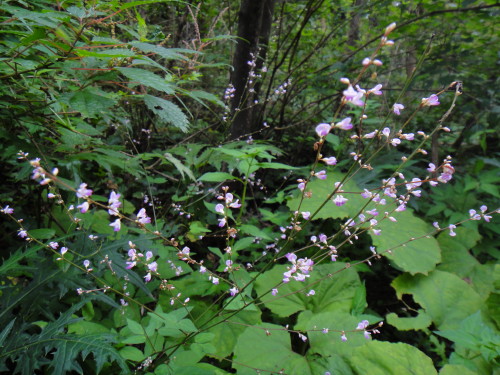 c0179351_19142520.jpg