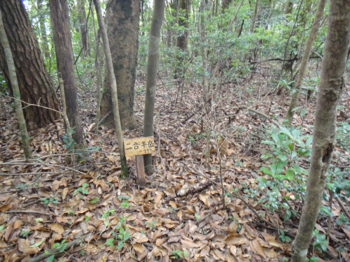 c0179351_1932134.jpg