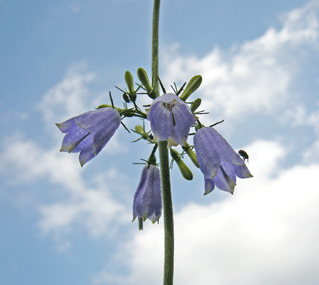a0001354_22494931.gif