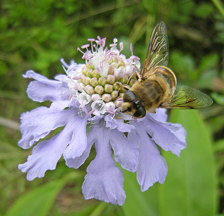 a0001354_225147.gif