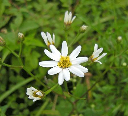 a0001354_2252152.gif