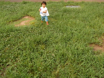 f0131255_20155417.jpg