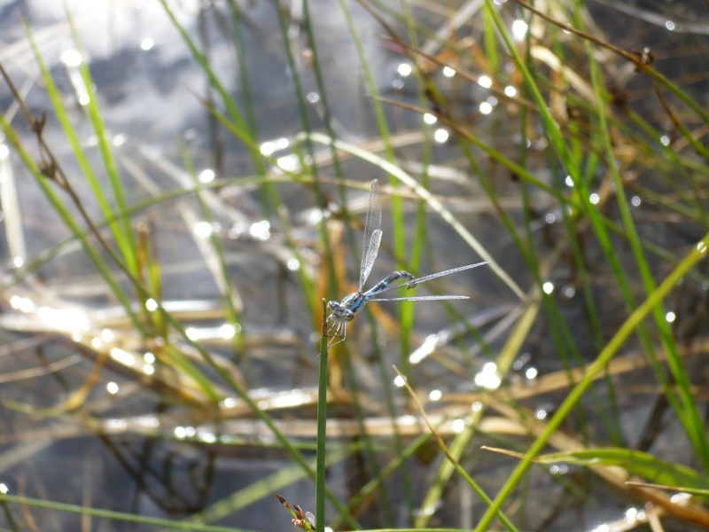 f0214562_1039916.jpg