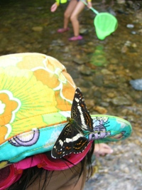 f0142668_7431035.jpg