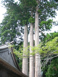 f0142668_81282.jpg