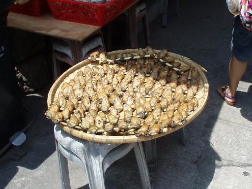 b0092475_22593372.jpg