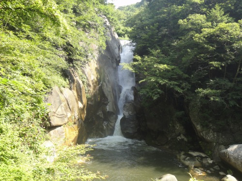 d0182075_491241.jpg