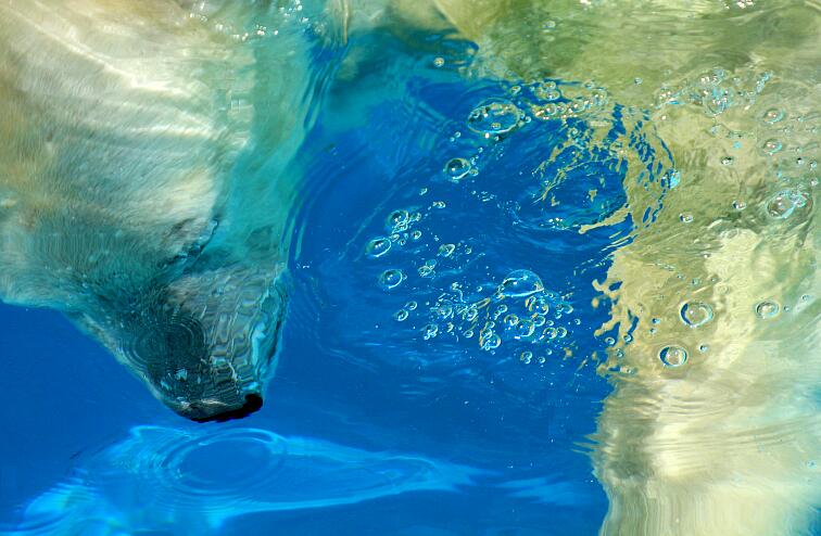 c0073377_19343422.jpg