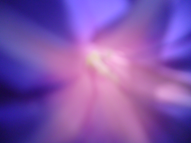 c0032580_1192479.jpg