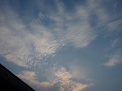 c0123890_1434343.jpg