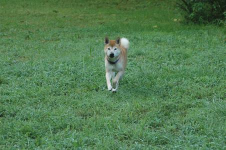 c0123890_151585.jpg