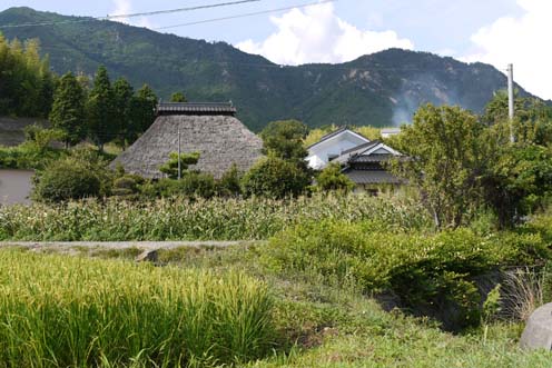 f0222692_9924.jpg