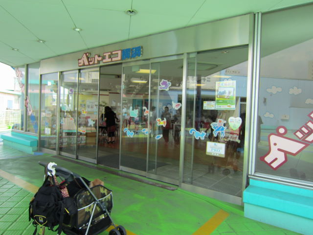 d0098295_22185947.jpg