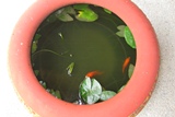 c0155198_10225678.jpg