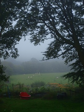 b0110999_4104266.jpg