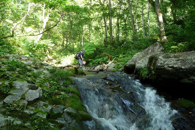 e0137200_21261867.jpg