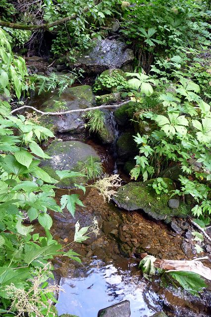e0137200_21553258.jpg