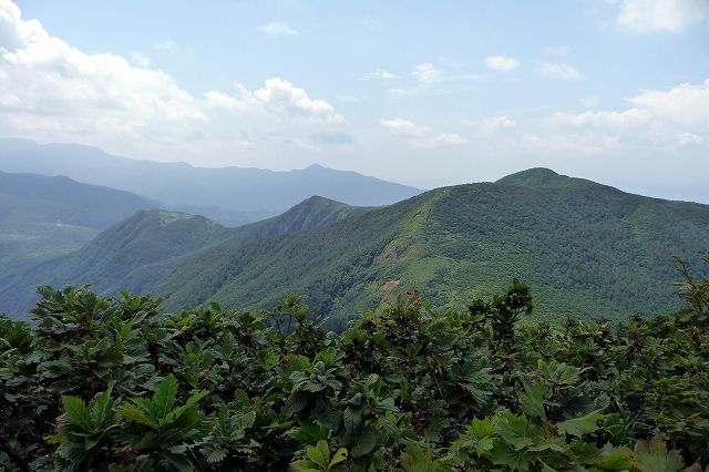 e0137200_2255323.jpg