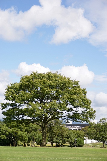 e0137705_1710756.jpg