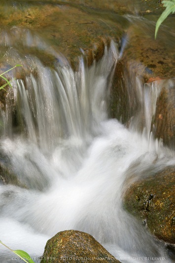 e0137705_1775164.jpg