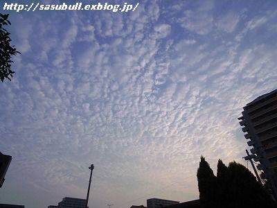 e0145805_0333426.jpg