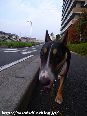e0145805_0342979.jpg