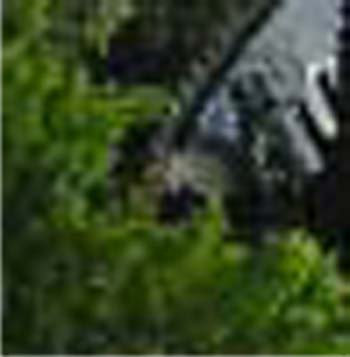e0103408_103057.jpg