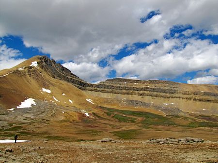 b0051109_11422741.jpg