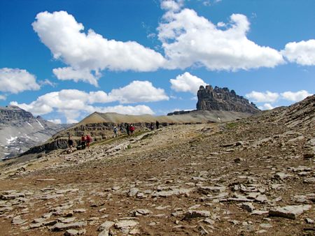 b0051109_1144183.jpg