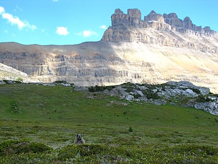 b0051109_11512290.jpg