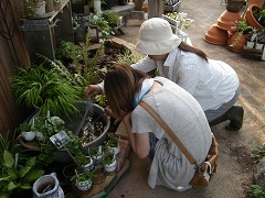 c0190010_21231856.jpg