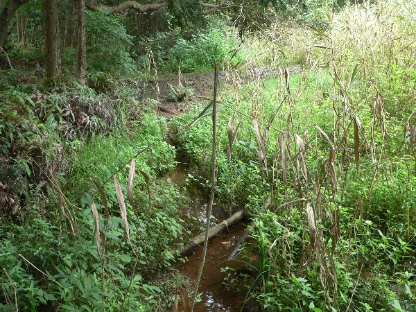 e0002314_1814371.jpg