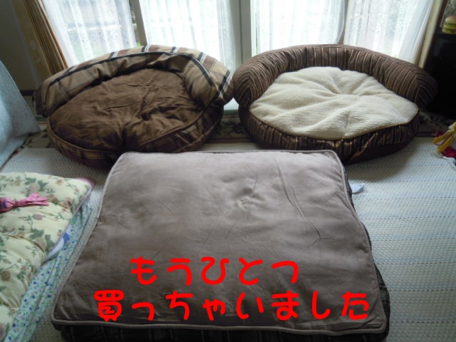 c0166622_12514082.jpg