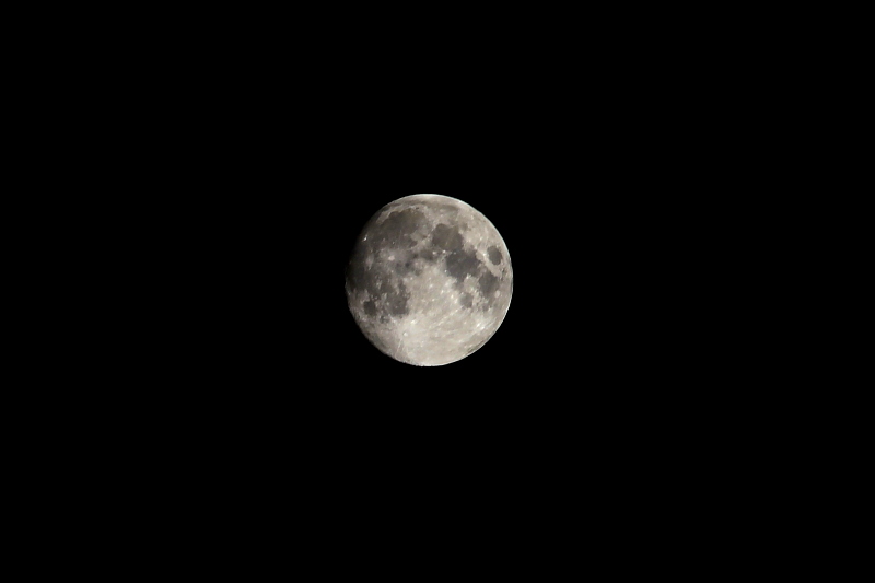 f0031423_204199.jpg