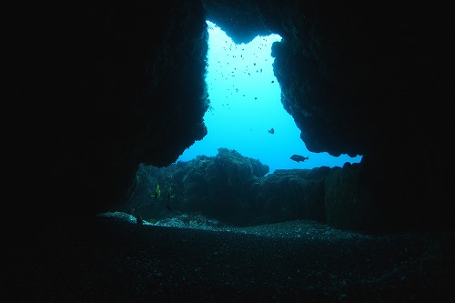 f0206424_975645.jpg