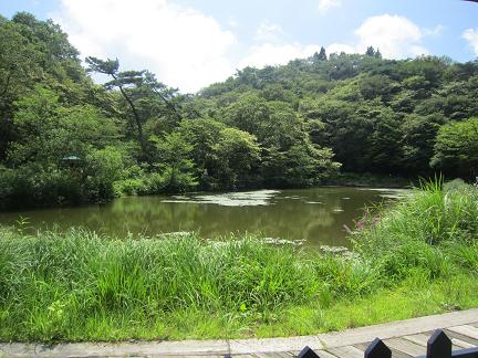 f0177125_23165920.jpg