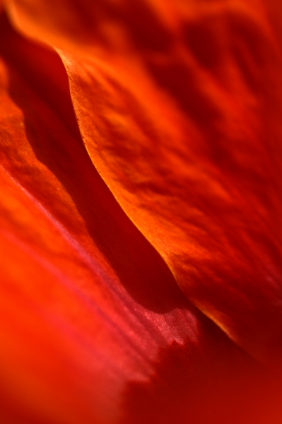 b0042527_22292514.jpg