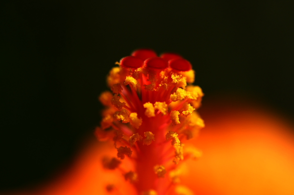 b0042527_22294884.jpg