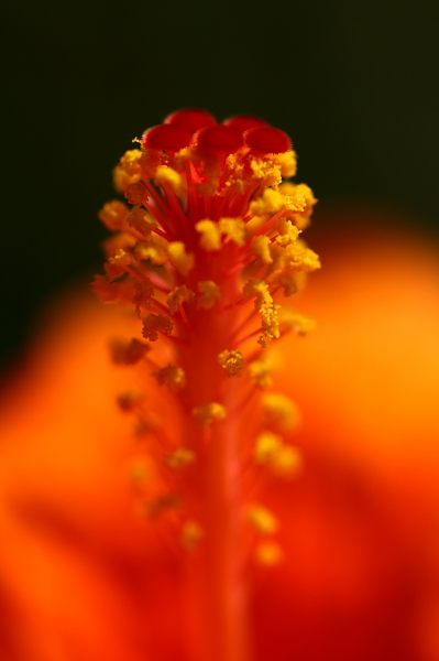 b0042527_22314553.jpg