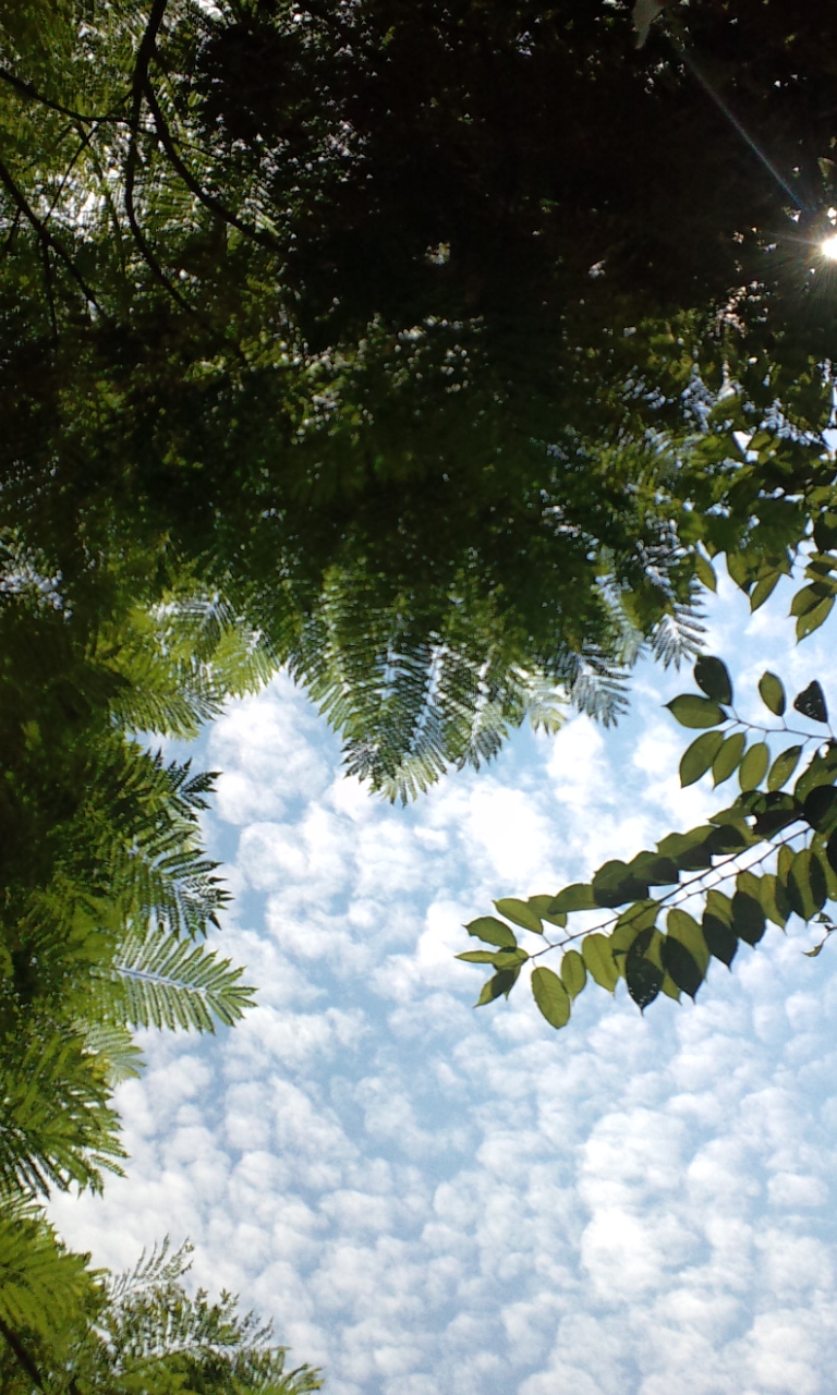 c0201427_14314822.jpg