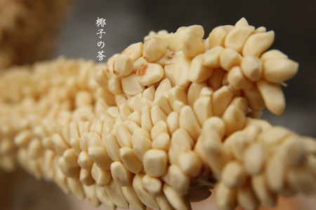 d0042827_2116584.jpg